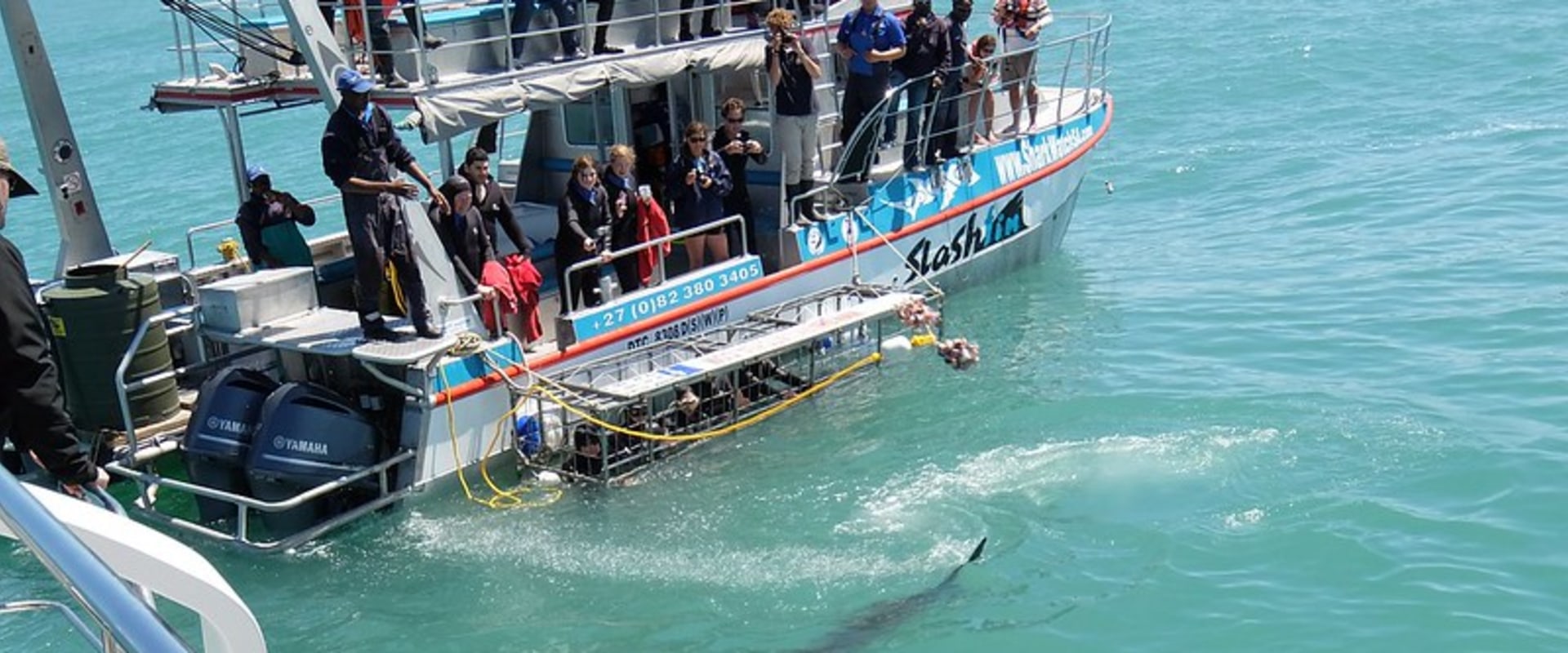 The Best Outdoor Excursion On Oahu: Shark Cage Diving On North Shore